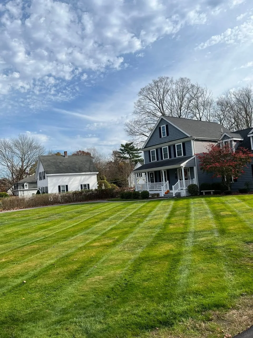 Wide lawn with fresh mowing stripes in late fall beside a white and navy home.