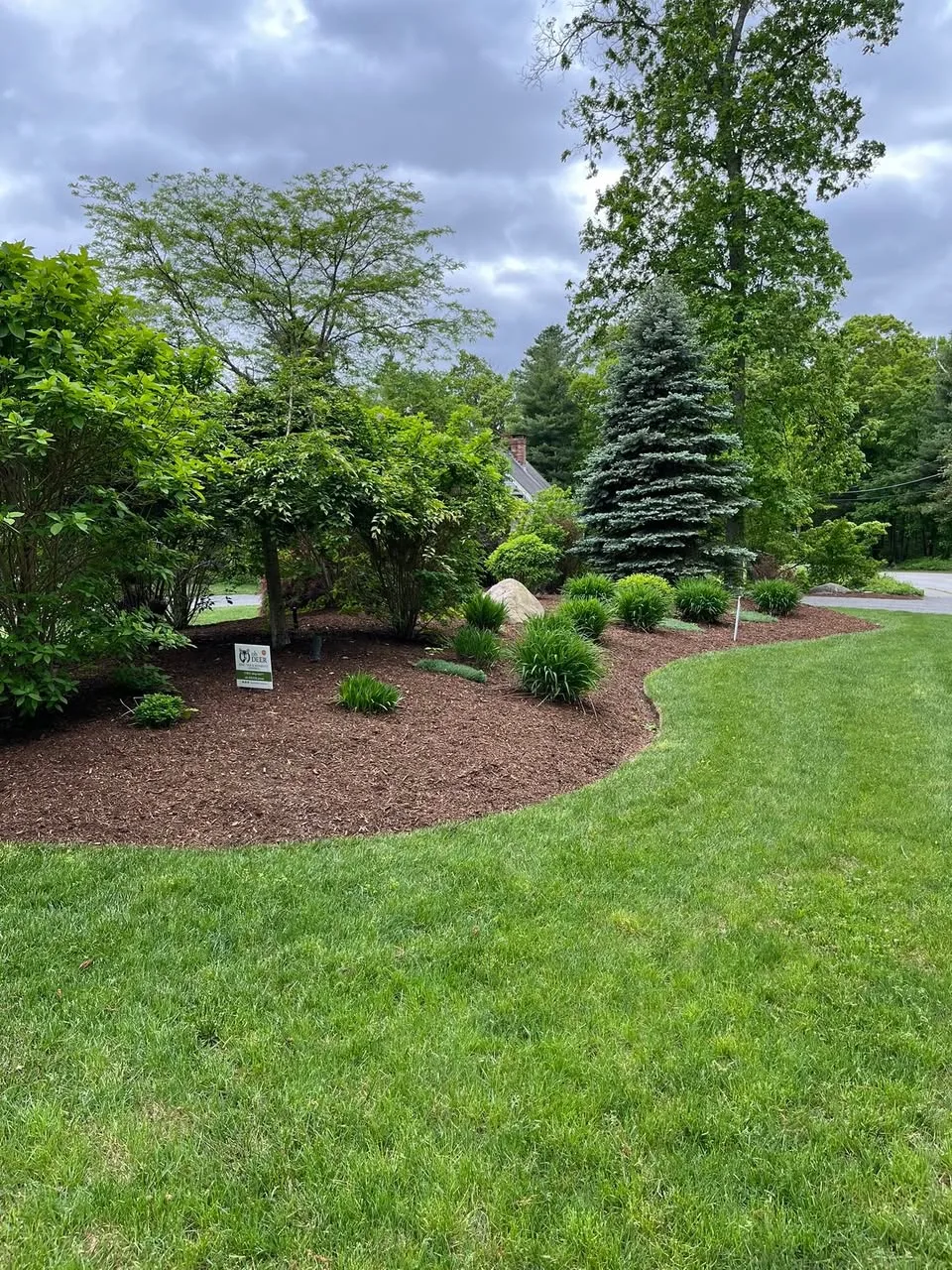Freshly mulched garden bed with a crisp hand-cut edge and new plantings.